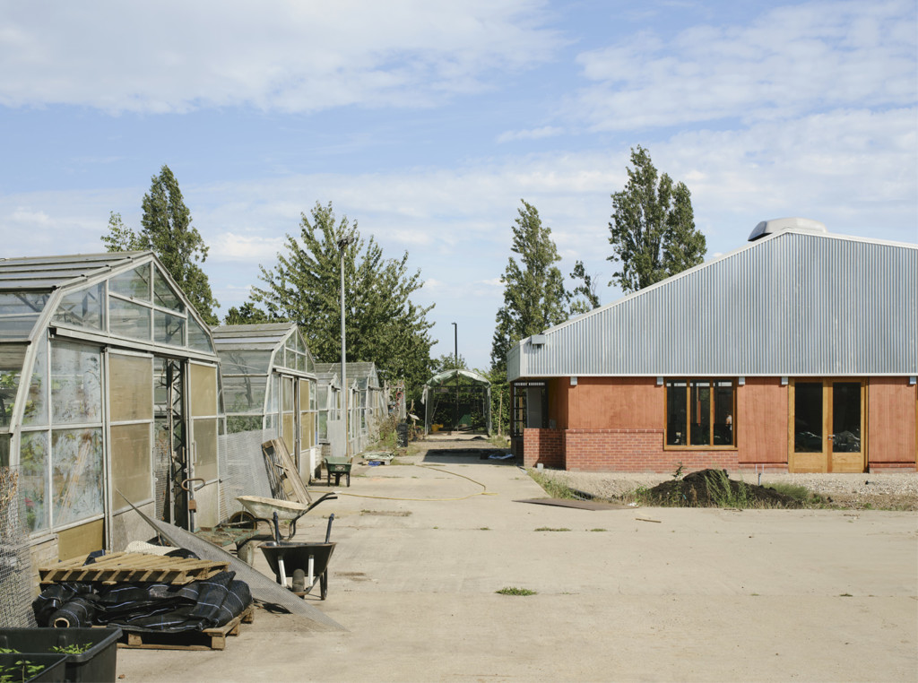 Při stavbě Wolves chtěl tým Summer Island použít i dřevo z dožilých okrasných stromů. Ne vše se ale podaří s dodavateli domluvit. | © Material Cultures; Henry Woide Při stavbě Wolves chtěl tým Summer Island použít i dřevo z dožilých okrasných stromů. Ne vše se ale podaří s dodavateli domluvit. | © Material Cultures; Henry Woide