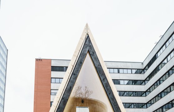 © Jiří Ryszawy