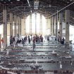 © 2018 The Why Factory © 2018 The Why Factory
