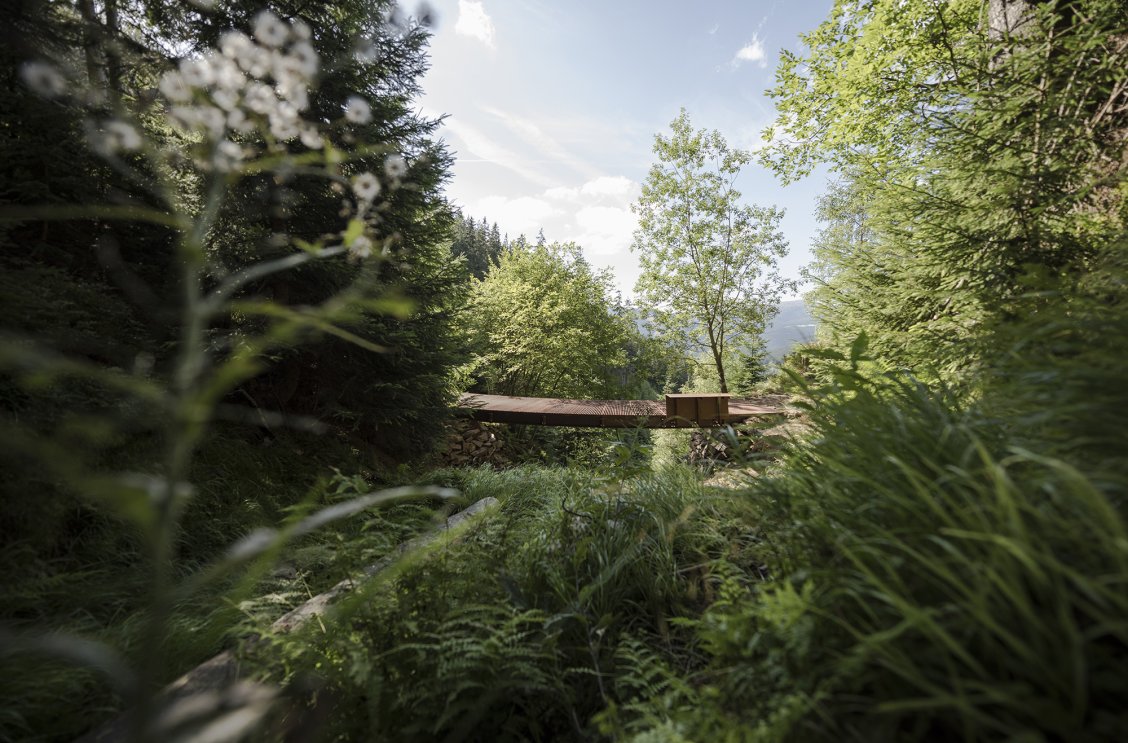 Lávka přes Hlubokou strouhu, ateliér Hlaváček – Čeněk, foto Martin Čeněk Lávka přes Hlubokou strouhu, ateliér Hlaváček – Čeněk, foto Martin Čeněk